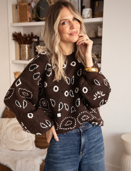 Cozy Paisley Days Brown - Sweater