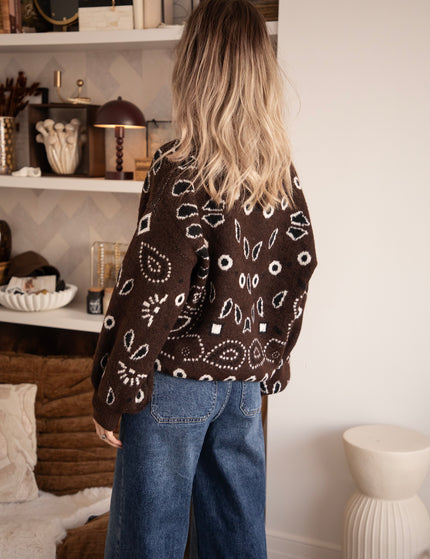 Cozy Paisley Days Brown - Sweater
