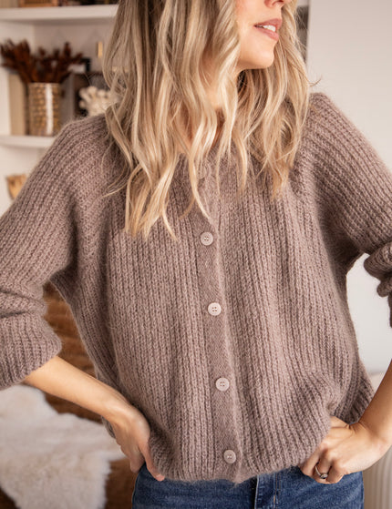 Feyre Taupe - Vest