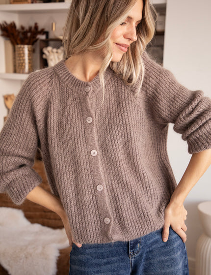 Feyre Taupe - Vest