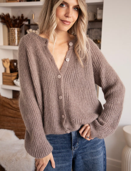 Feyre Taupe - Vest