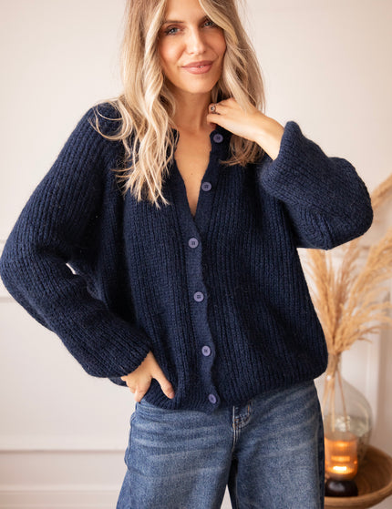 Feyre Navy - Vest