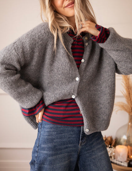 Langarmshirt - Sadie Stripe Shape - Burgund/Navy