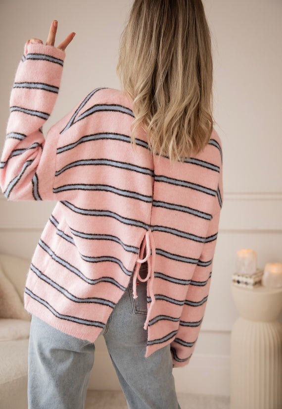 Back To Stripes Baby Pink/Soft Blue - Trui