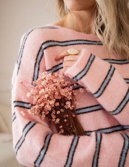 Back To Stripes Baby Pink/Soft Blue - Sweater