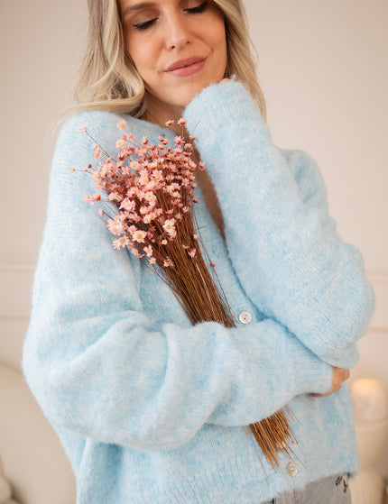 Zora Baby Blue - Cardigan