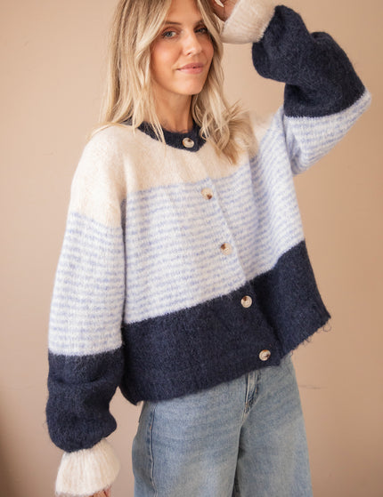 Sweet Rainbow Blue/Dark Blue - Vest