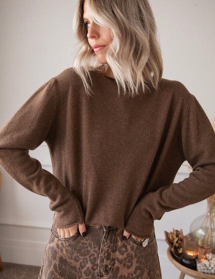 Pullover - A True Basic - Braun