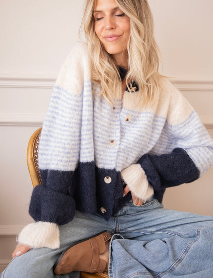 Sweet Rainbow Blue/Dark Blue - Vest