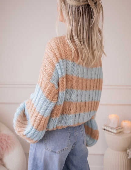 Sweet Softness Camel/Baby Blue - Trui