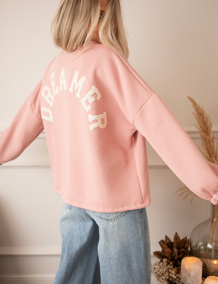 Lily Dreamer Baby Pink/Beige - Sweater