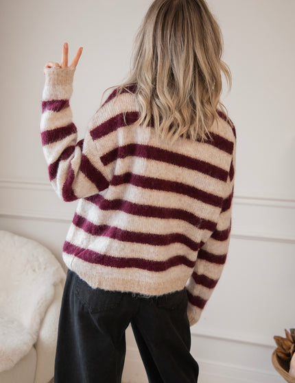 Stripes So Soft Bordeaux/Beige - Trui