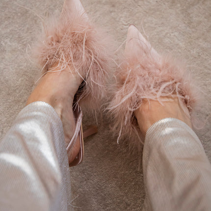 Collection image for: Alle Lieblingsteile