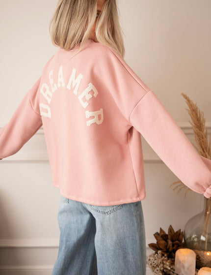 Lily Dreamer Baby Pink/Beige - Sweater - ellemilla