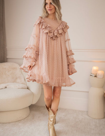 Tule Dreams Old Pink - Jurk - ellemilla