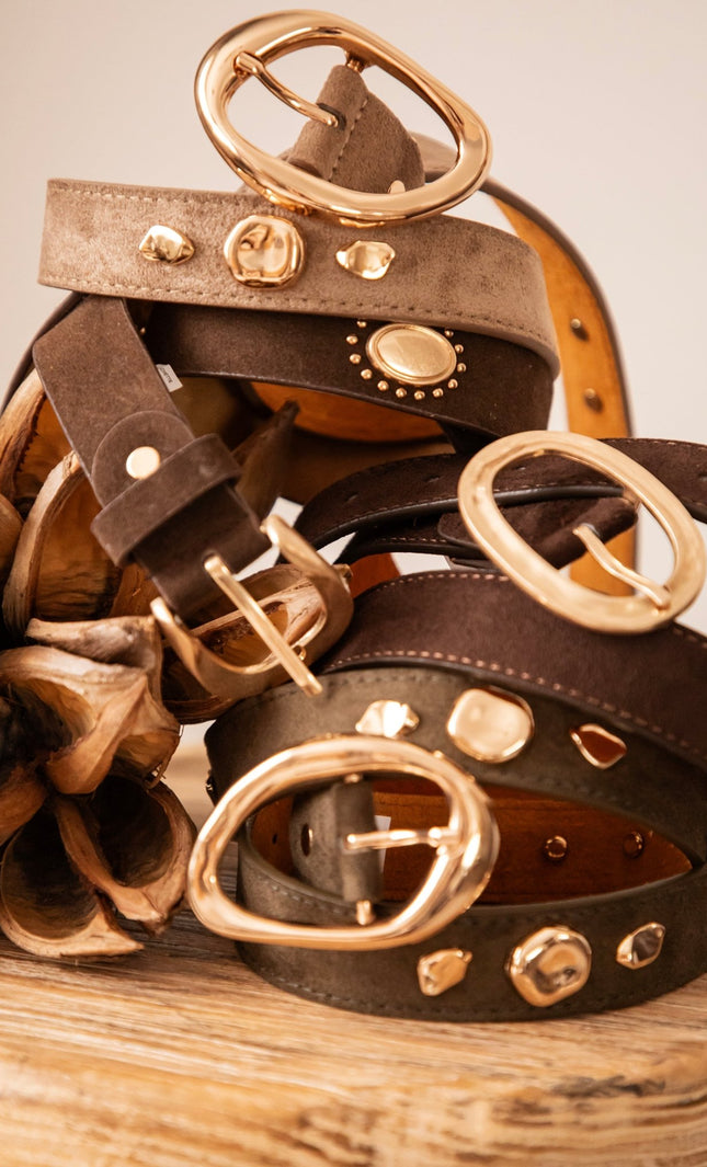 Written In Gold Taupe - Riem - ellemilla
